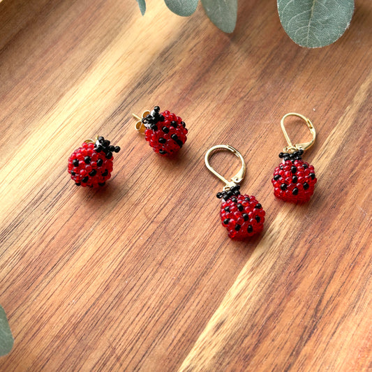 Cute Ladybugs