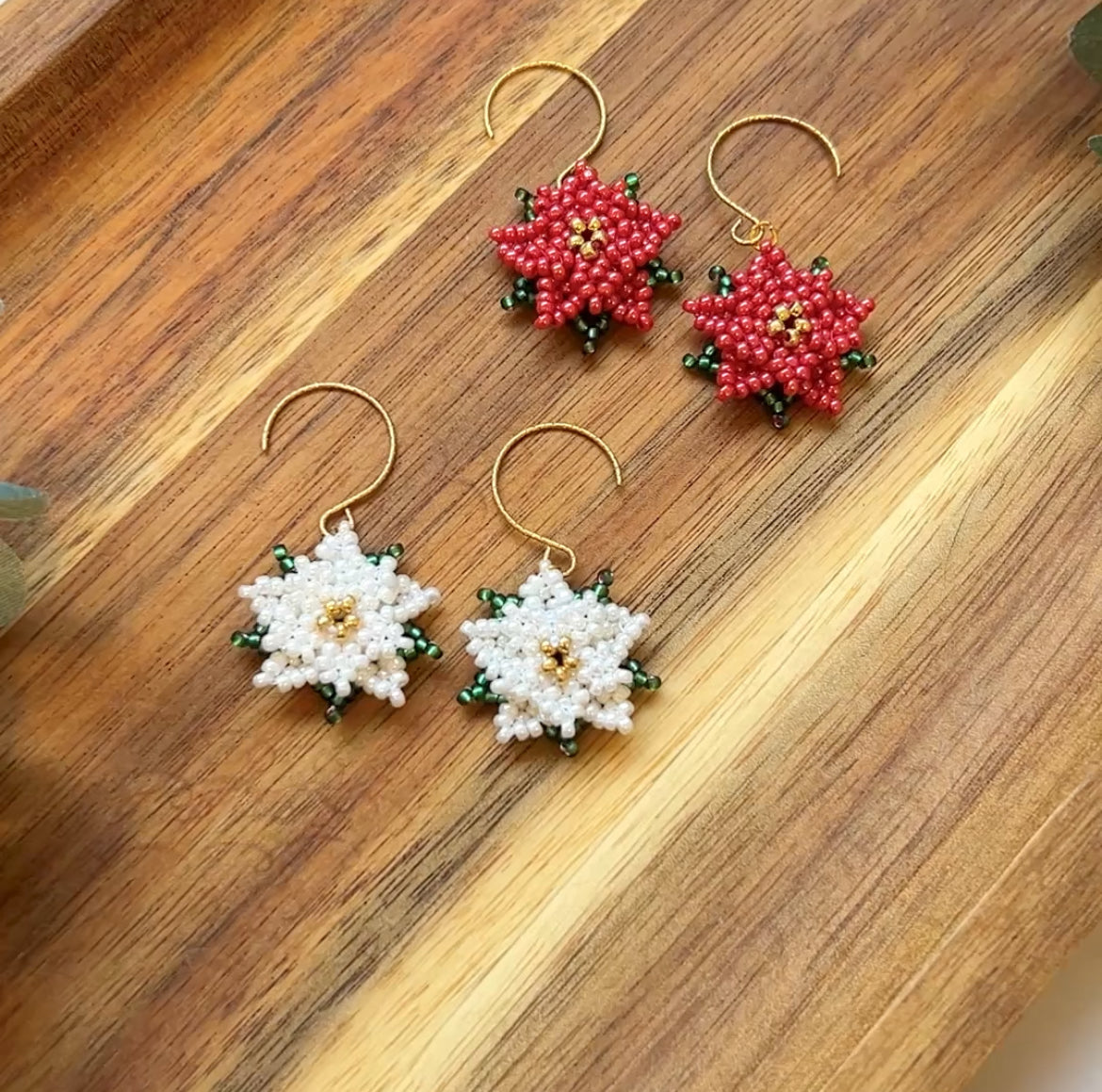 Poinsettias Blossom