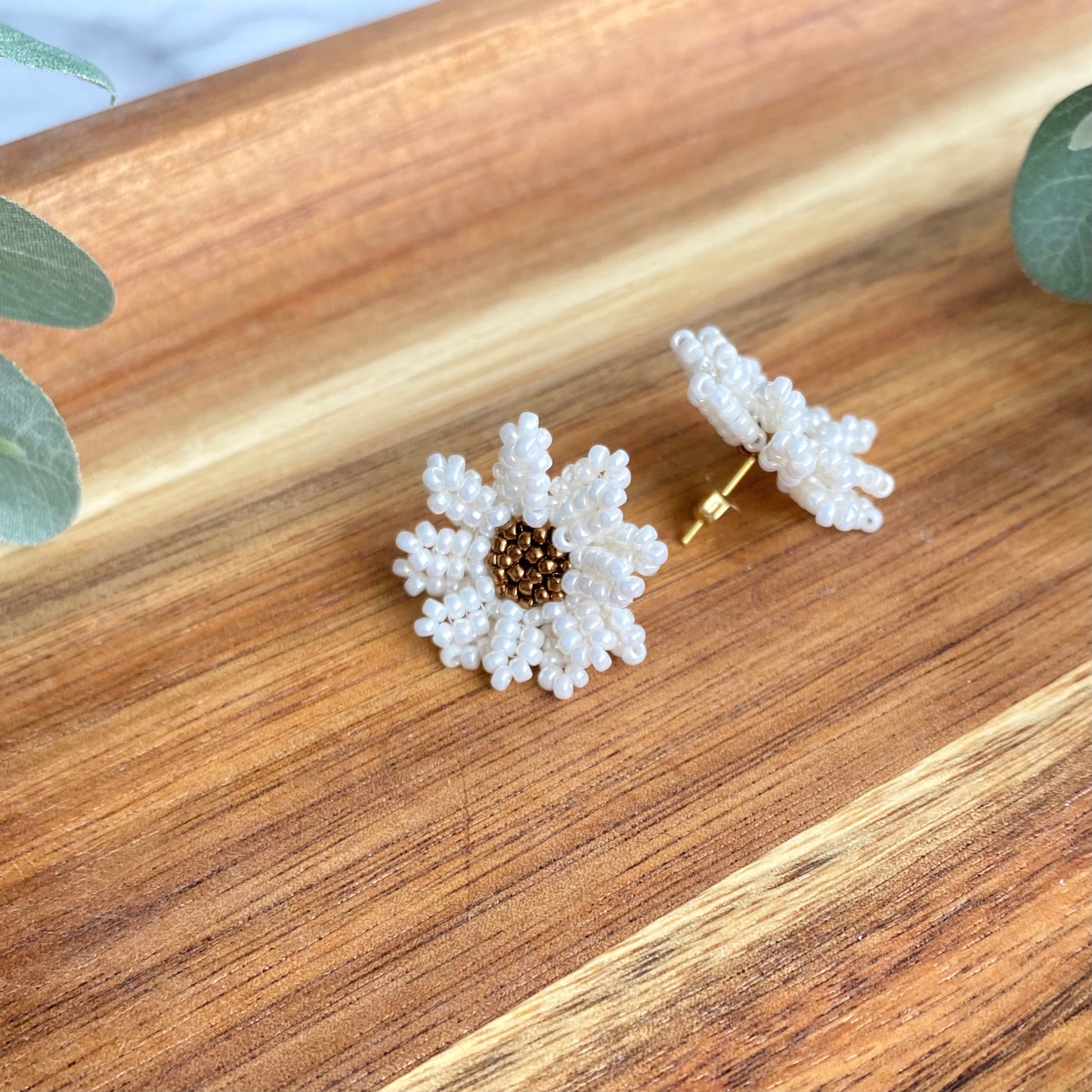 White Daisies