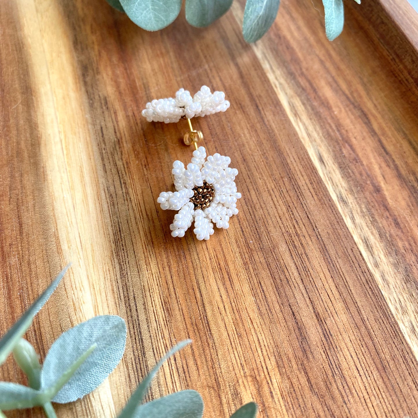 White Daisies